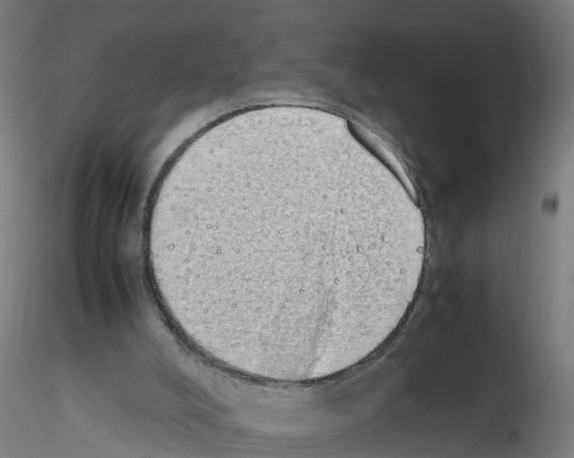 X0000115620008200912221238