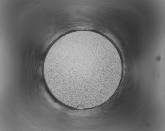 X0000115620009200912221238