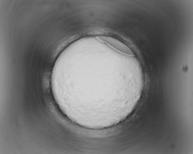 X0000115620010200912221238