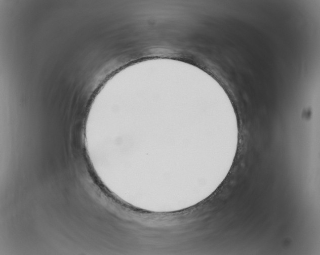 X0000115620011200912221238