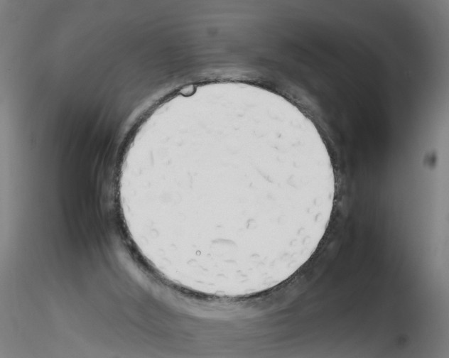 X0000115620012200912221238