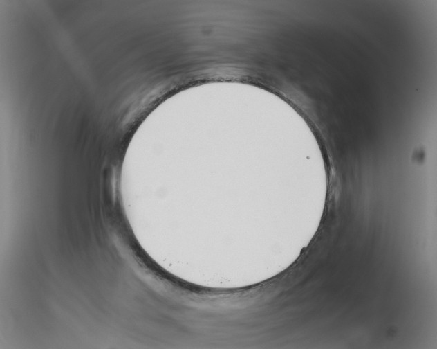 X0000115620013200912221238