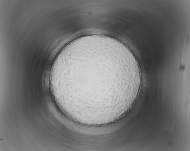 X0000115620014200912221238