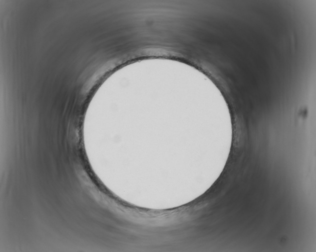 X0000115620015200912221238