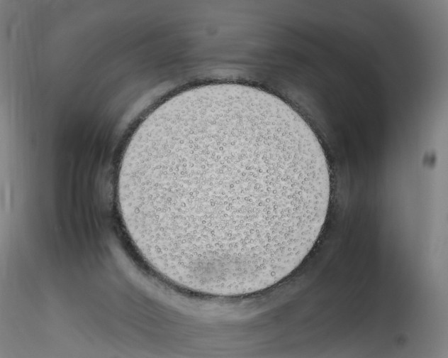 X0000115620016200912221238