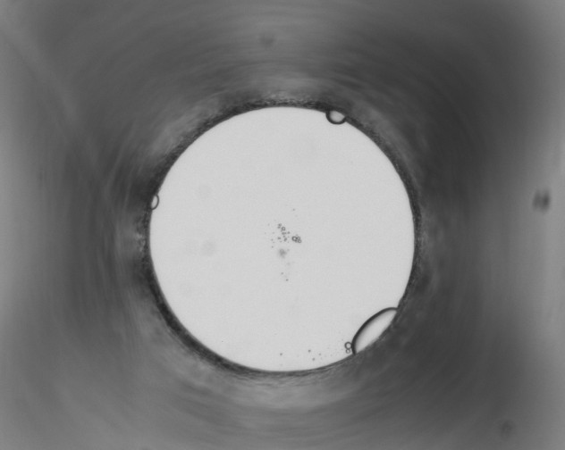 X0000115620017200912221238