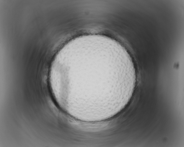 X0000115620018200912221237
