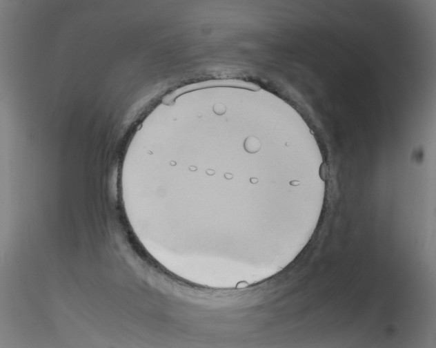 X0000115620019200912221237