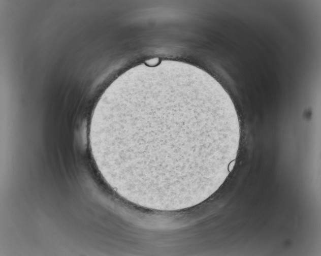 X0000115620020200912221237