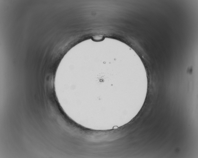 X0000115620021200912221237