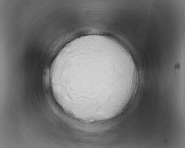 X0000115620022200912221237