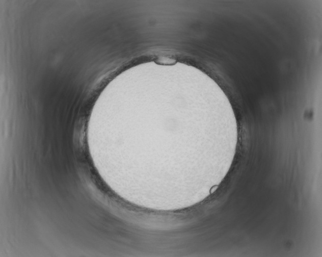 X0000115620024200912221237