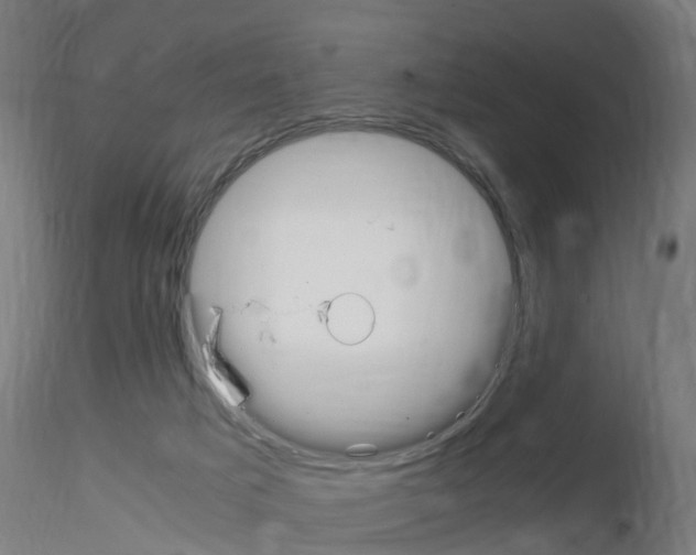 X0000115620025200912221237