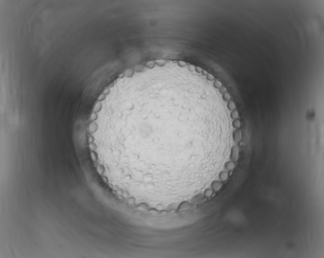 X0000115620026200912221237
