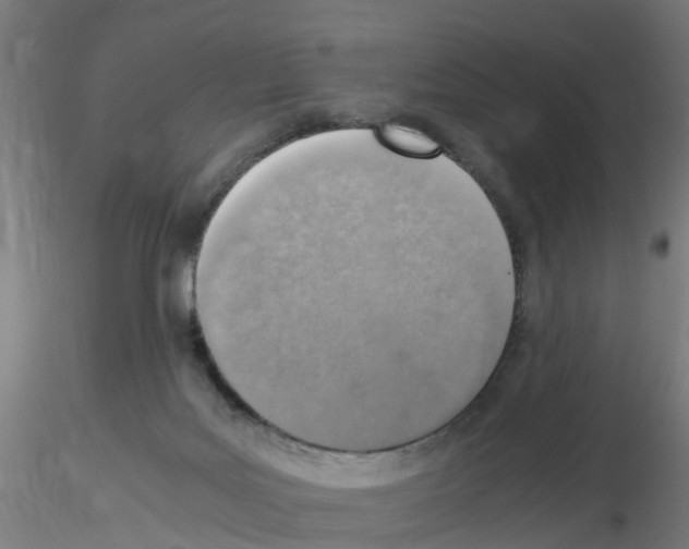 X0000115620027200912221237