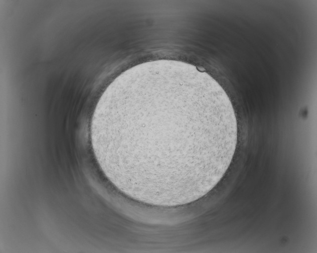 X0000115620028200912221237