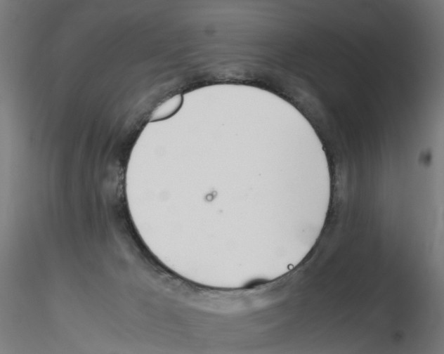 X0000115620029200912221237