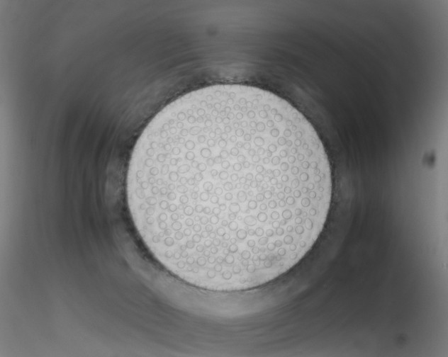 X0000115620030200912221237