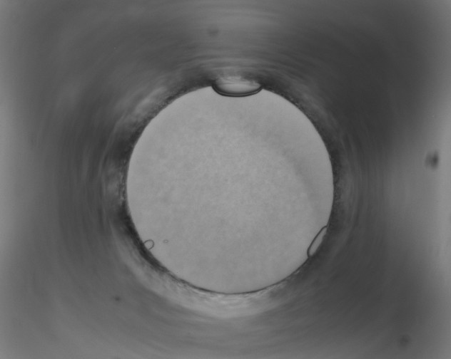 X0000115620031200912221237