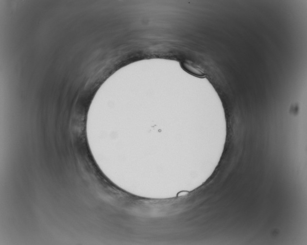 X0000115620033200912221237