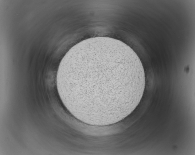 X0000115620034200912221237