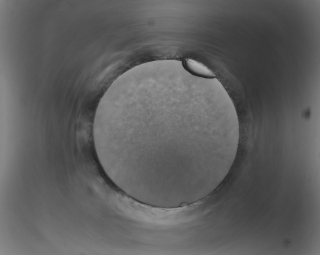 X0000115620035200912221237