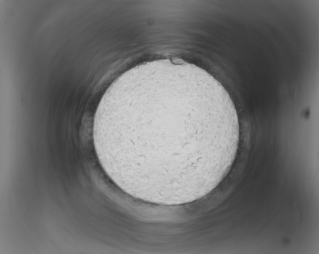 X0000115620036200912221237