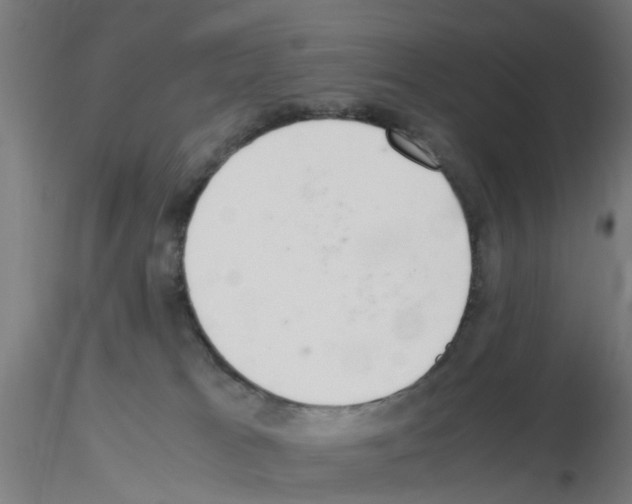 X0000115620037200912221237