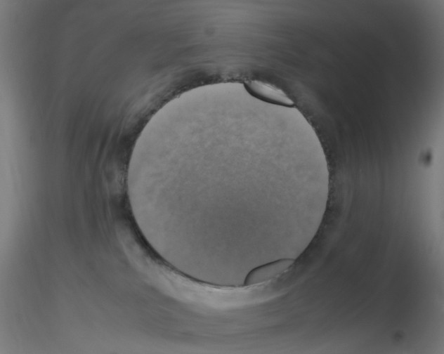 X0000115620039200912221237