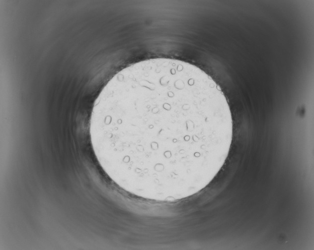 X0000115620040200912221237