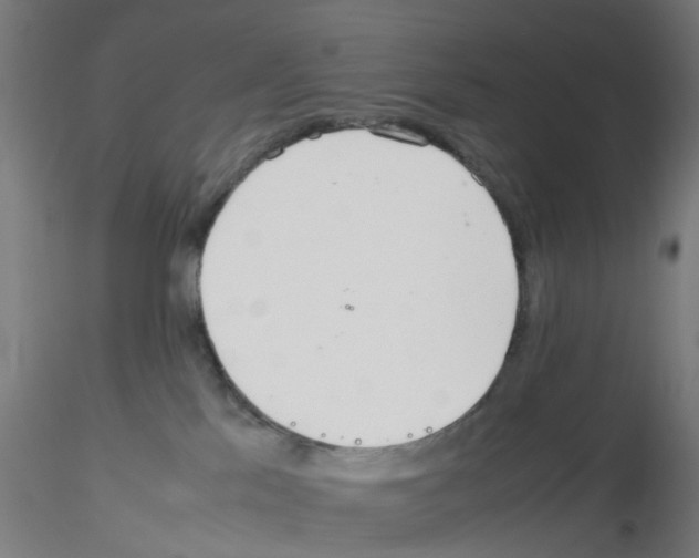 X0000115620041200912221237