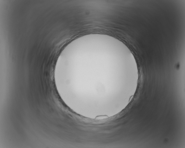X0000115620043200912221237