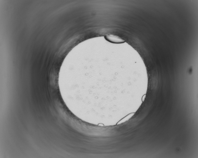 X0000115620044200912221237