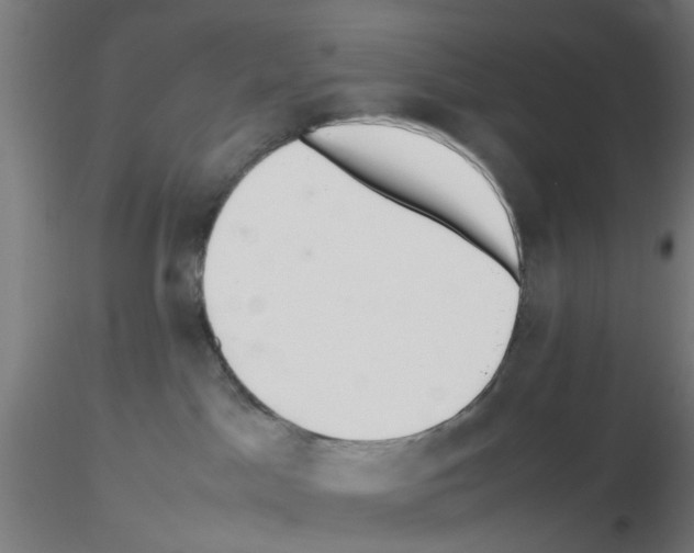 X0000115620045200912221237