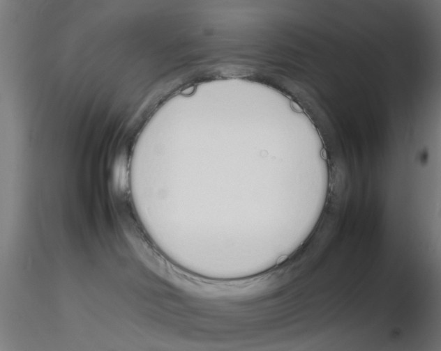 X0000115620046200912221237