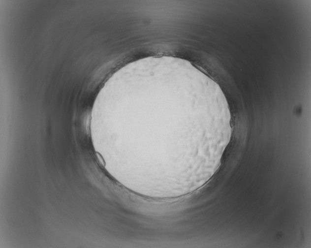 X0000115620047200912221237