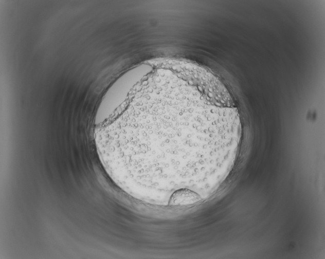 X0000115620048200912221237