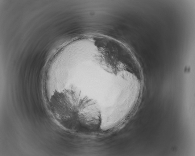 X0000115620049200912221236