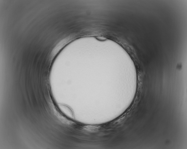 X0000115620051200912221236