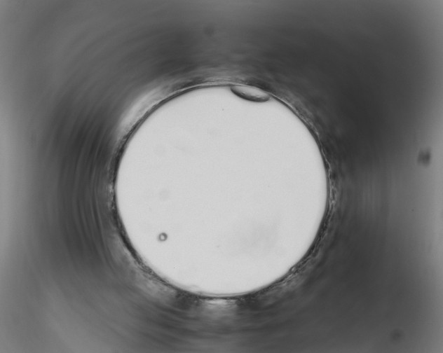 X0000115620053200912221236