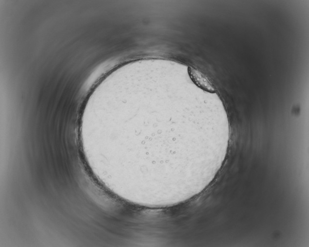 X0000115620054200912221237