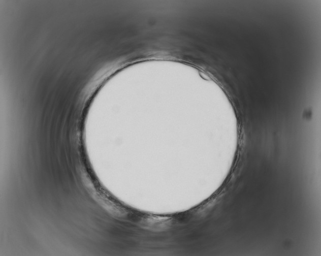 X0000115620055200912221237