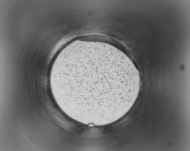 X0000115620056200912221237