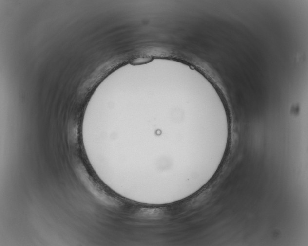 X0000115620057200912221237