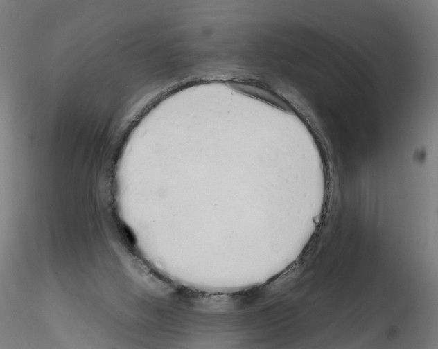 X0000115620058200912221237
