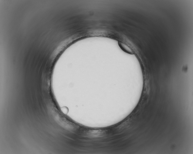 X0000115620059200912221237