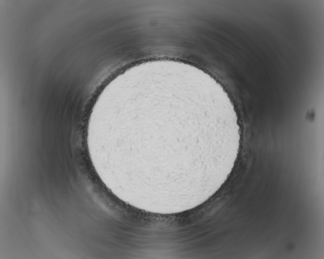 X0000115620060200912221237
