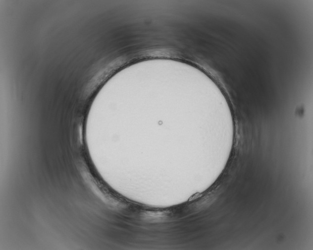 X0000115620061200912221237