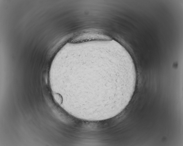 X0000115620062200912221237