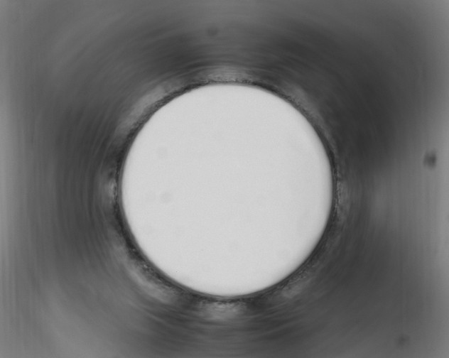 X0000115620063200912221237